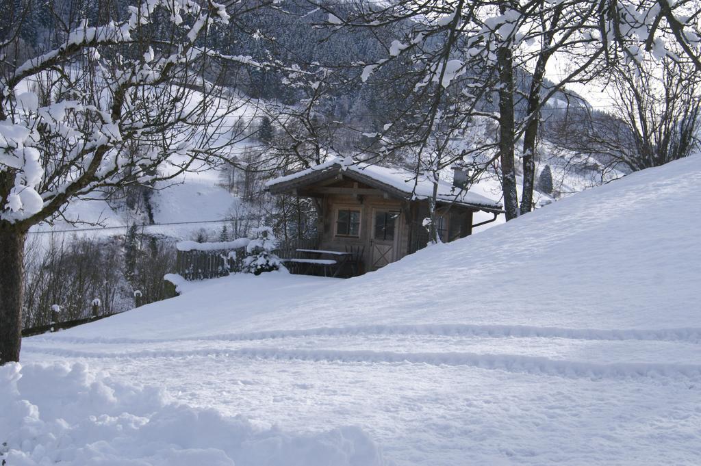 Vordergugg Villa Mittersill Exterior foto